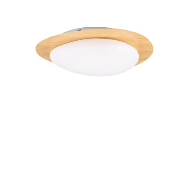 NIMBUSTriac Dimmable Wood Finishing Stee