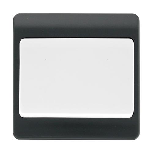 10AX 250V 1G 2 WAY W