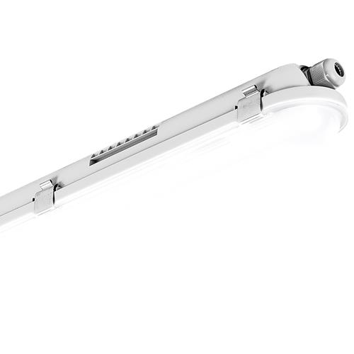 50K 50W ECO CLIMATE 5FT OPAL 6300LM LED