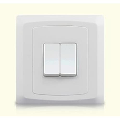2 GANG 2 WAY PLATE SWITCH