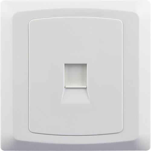 CAT5 1 GANG RJ45 DATA SOCKET(8 TERMINAL)