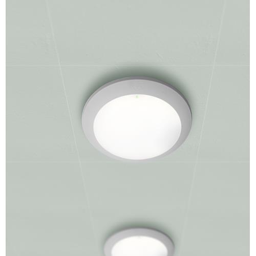 UMBERTA E27 GREY OPAL