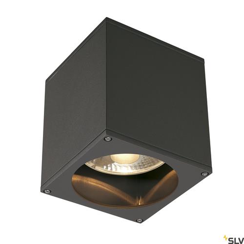 BIG THEO, outdoor ceiling light, QPAR111