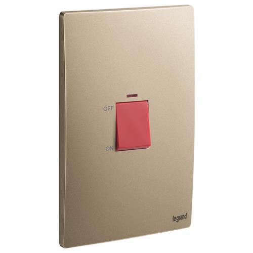 2G 1W 45A DP SW W/INDICATOR