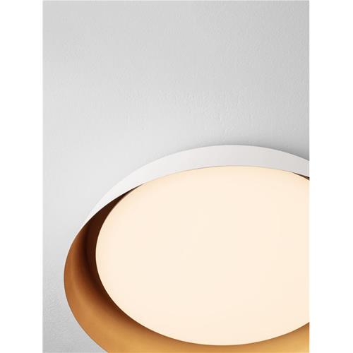 Sandy White & Gold Steel Shade (2 pcs/bo