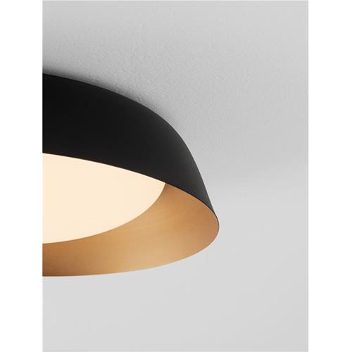 Sandy Black & Gold Steel Shade (2 pcs/bo