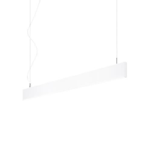 STEEL SP2 D20 BI-EMISSION WIDE 4000K BIA