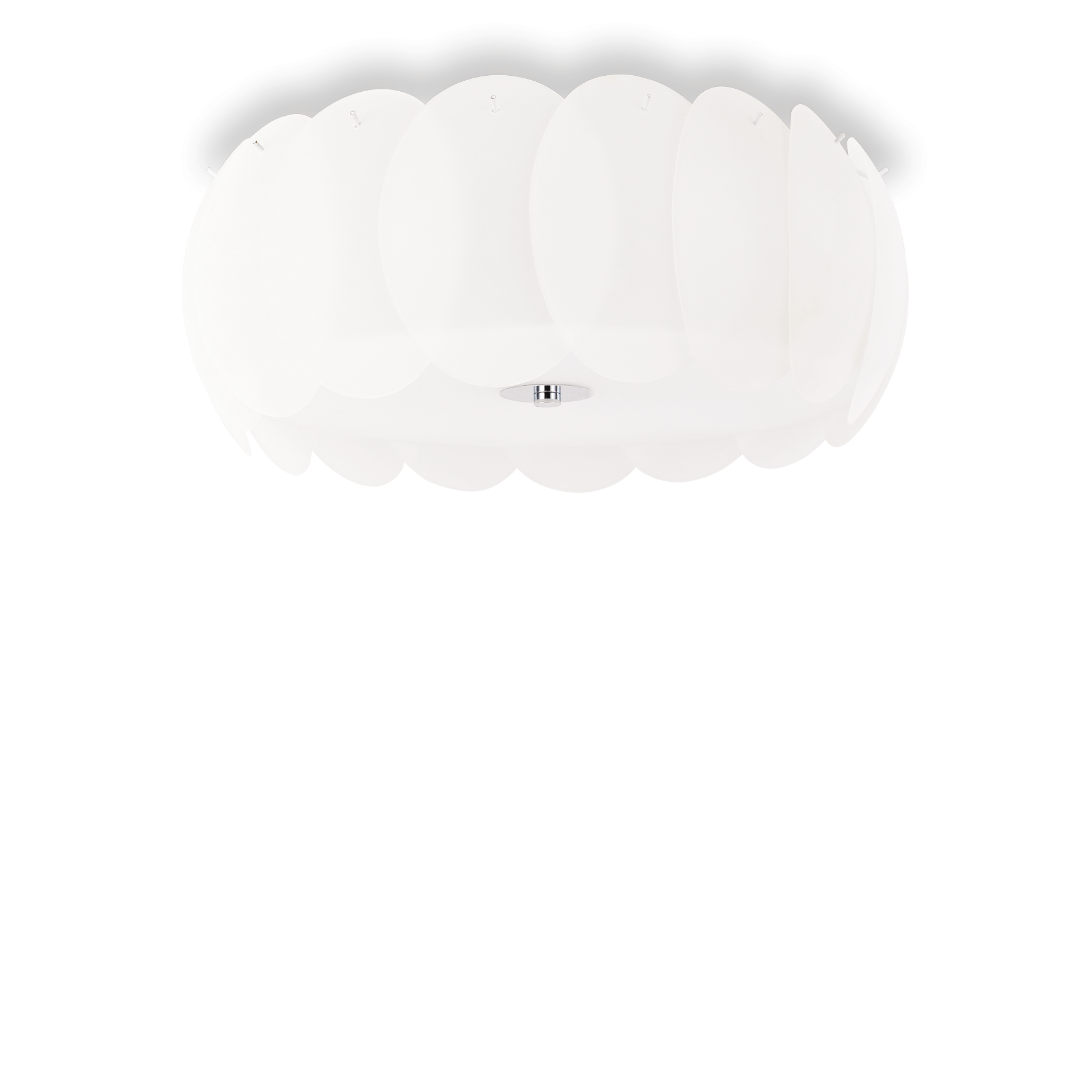 OVALINO PL8