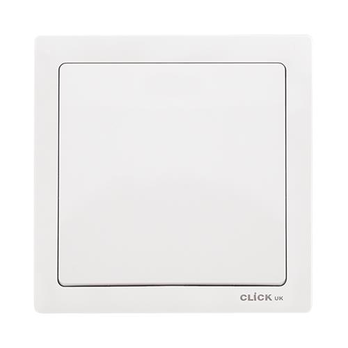 20A DP 1G SWITCH