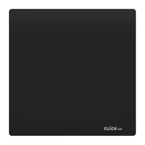 1G BLANK PLATE