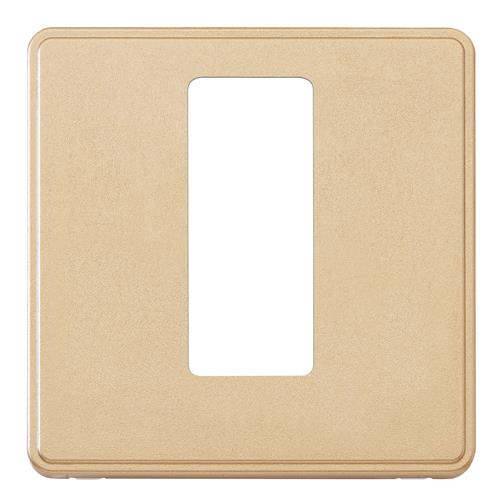 1G 50A DP SWITCH WITH NEON FRONTPLATE