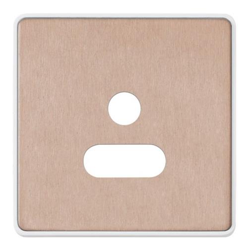 1G 5A ROUND PIN SOCKET FRONTPLATE