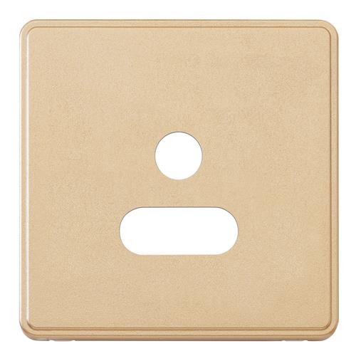 1G 5A ROUND PIN SOCKET FRONTPLATE