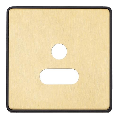 1G 5A ROUND PIN SOCKET FRONTPLATE