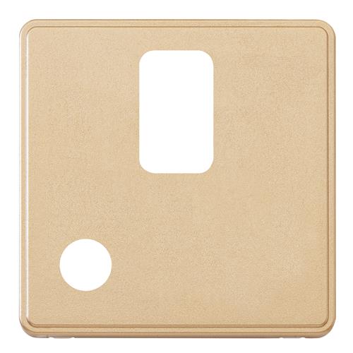 1G 20A DP SWITCH FLEX NEON FRONTPLATE