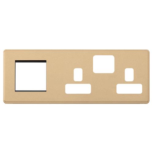 COMBI 2G SW SKT + 2 MOD EURO (LH) FPLATE