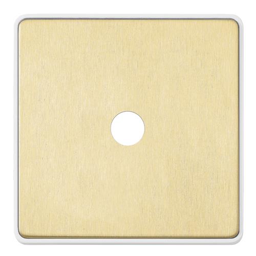 1G SINGLE DIMMER FRONTPLATE