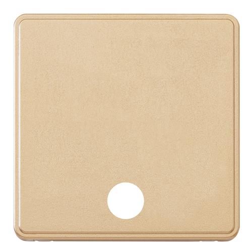 1G 25A CONN UNIT FLEX FRONTPLATE