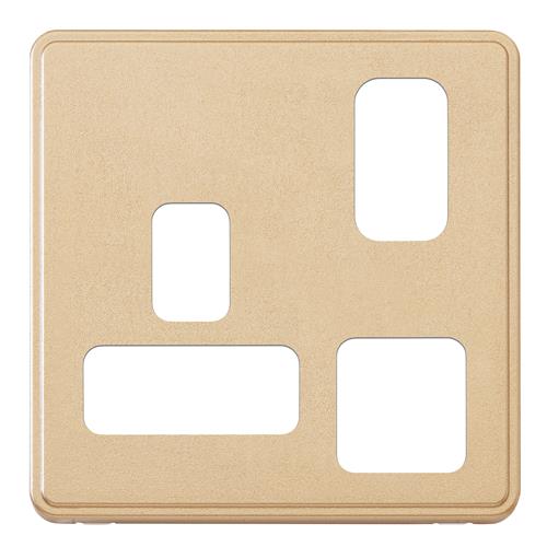 1G DP S/S 2 PORT USB CHARGER FRONTPLATE